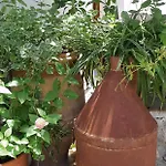 Kyfanta, & In Kyparissi