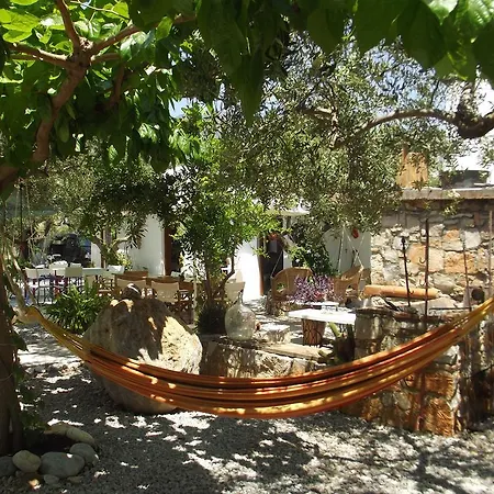 Kyfanta, & In Kyparissi * Kyparíssion