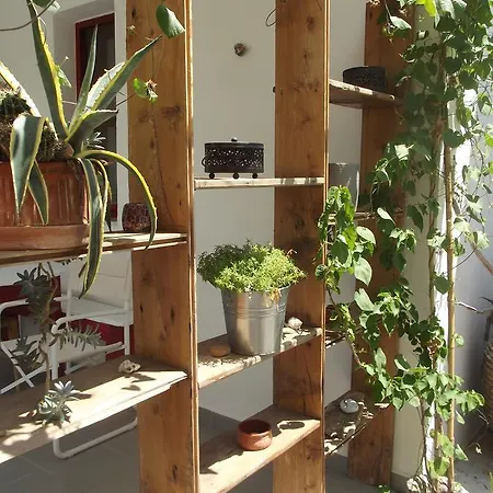 Kyfanta, & In Kyparissi Kyparíssion