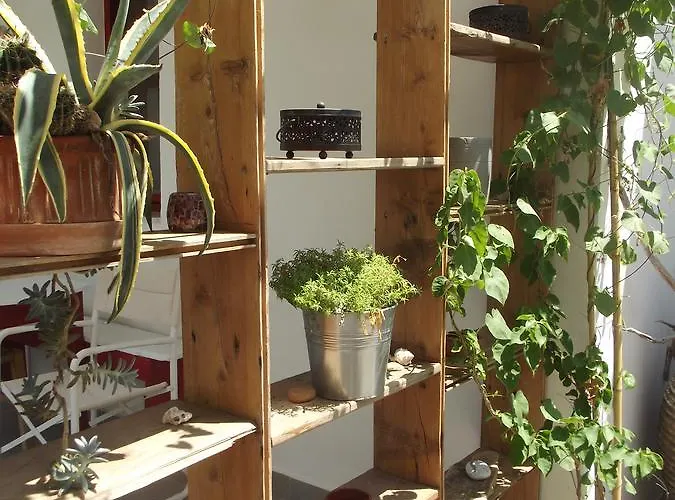 Kyfanta, & In Kyparissi Kyparíssion