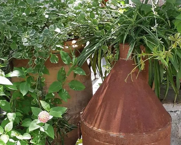 Kyfanta, & In Kyparissi